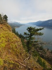 One of the viewpoints provides a lovely view into the Columbia River Gorge