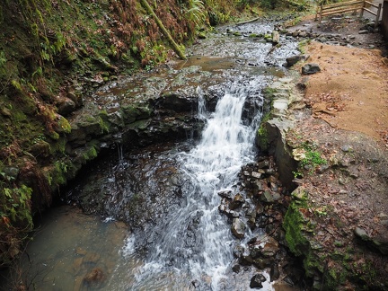 A tiny waterfall on Balch Creek makes pleasant sounds along the trail.