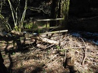 Here are the remains of the bridge over Pernham Creek.