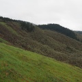 Early spring rains turn the hills green.