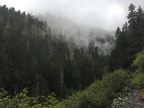 The mists look lovely in the valley of Van Trump Creek.