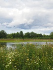 There is a section of trail with lots of summer flowers.