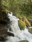IMG 6743