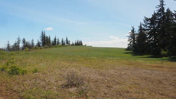 P2112389