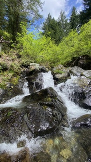 IMG E0377C