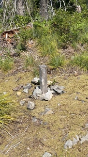 IMG 0872C