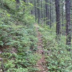 Snag Creek Photos WA