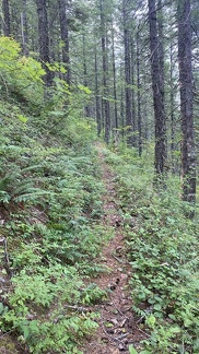 IMG 0873C