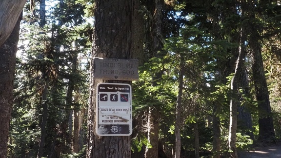 P2123677C