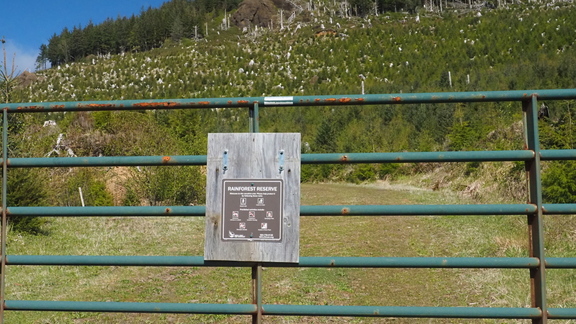 P2120006c