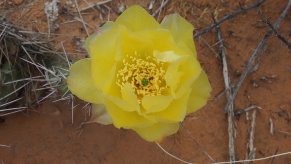 P2160633c