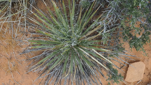 P2160640c