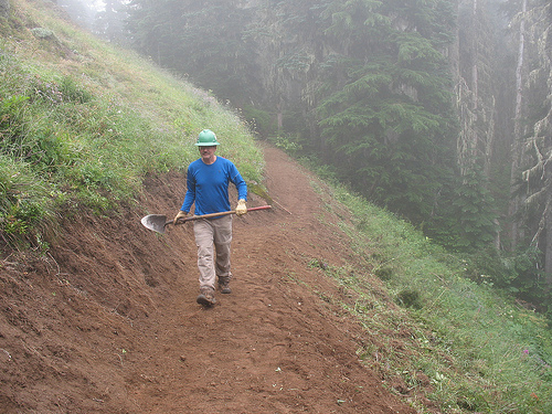 Glacier View Trail meadow after Washington Trails Association our work crew raised and repaired the tread.