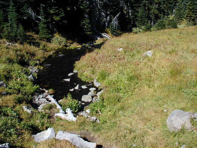 A spring flows into of Lodi Creek in Berkeley Park at Mt. Rainier National Park.