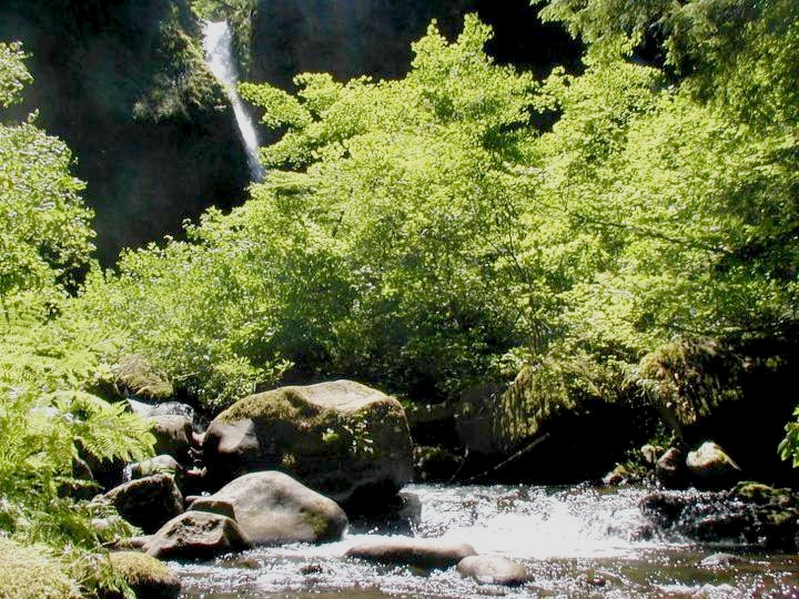 Ponytail Falls on the Oneonta Trail in the Columbia River Gorge.