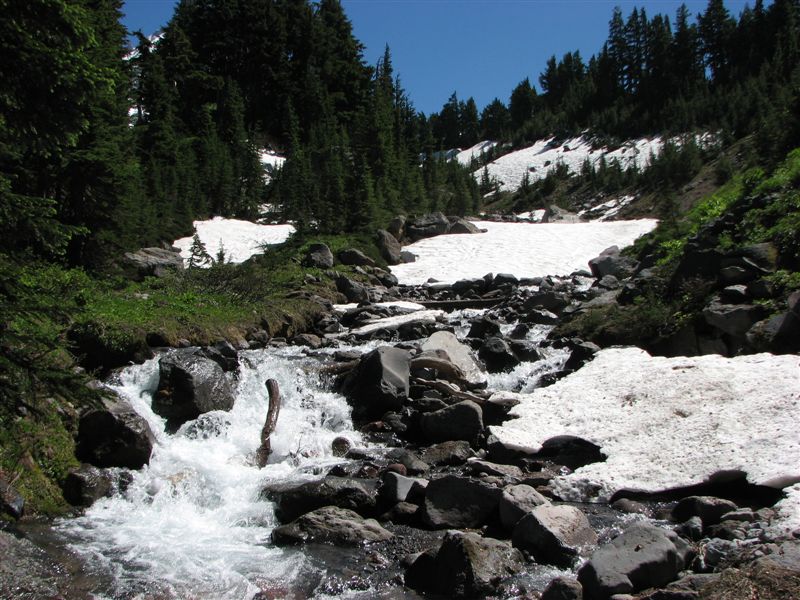 The Timberline Trail crosses McGee Creek on the way to Cairn Basin. 2010 was a late snow year. This photo was taken in late July.